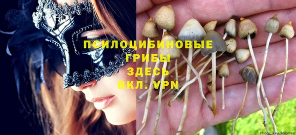 марки nbome Баксан