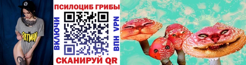 Псилоцибиновые грибы мицелий продажа наркотиков Вихоревка